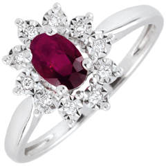 Anello Eterno Edelweiss - rubino e diamanti - oro bianco 9 carati