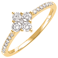 Freshness Ring - Dina - yellow gold 9 carats and diamonds