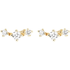 Freshness earrings- Tara - 18 carat yellow gold and diamonds