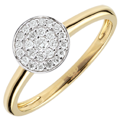 Anillo Mi Constelación - Bicolor - oro blanco y oro amarillo 18 quilates 