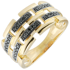 Bague Clair Obscur - Chemin Secret - or jaune - grand modèle 18 carats