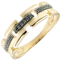 Ring Chiaroscuro  - Geheim Pad - 9 karaat geelgoud klein model