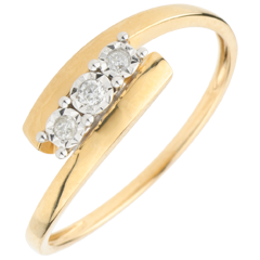 Trilogie Nid Précieux - Harmonia - or jaune et blanc 9 carats