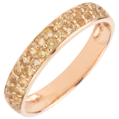 Bague Oiseau de Paradis - deux rangs - or rose 9 carats et citrine jaune