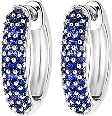 Bird of Paradise Earrings - Sapphire hoop earrings - 9 carat white gold