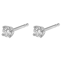 Boucles d'oreilles diamants - puces or blanc 18 carats - 0.25 carat