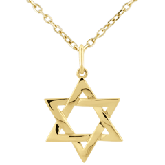 Star of David pendant - 9 carat yellow gold 