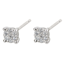 Earrings Multitude of stars