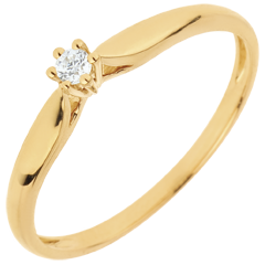 Ring Riet 6 Diamanten pootjes - 0.05 karaat - 18 karaat geelgoud