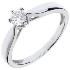 Ring Riet 18 karaat witgoud 6 Diamanten pootjes - 0.305 karaat