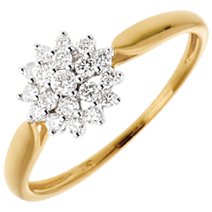 Ring Kaleidoscope - 18 karaat witgoud en geelgoud - 0.26 karaat - 19 Diamanten