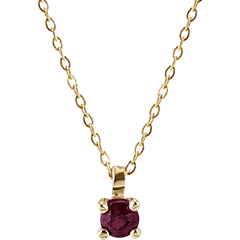 Ketting Paradijsvogel - Robijn solitaire - 18 karaat geelgoud