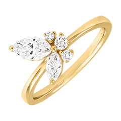 Anello Farfalla di Mezzanotte - oro giallo 9 carati con diamanti sintetici