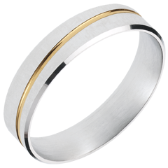 Promesa n.º 41 Promesa n.º 41