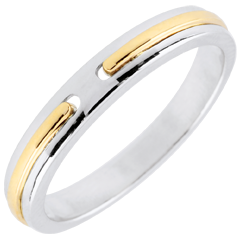 Alianza Promesa - pequeño modelo - oro blanco y amarillo 18 quilates