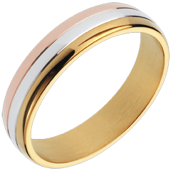 Alliance sage gravitation - trois ors 18 carats