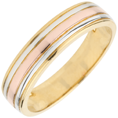 Alliance Tricolore Ulysse - trois ors 18 carats