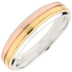 Alliance Trilogie Eureka - trois ors 9 carats