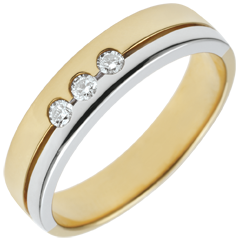 Bi-colour Gold Olympia Trilogy Wedding Band - Medium Model