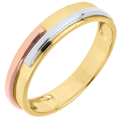 Alliance Titan - 3 ors jaune - trois ors 18 carats