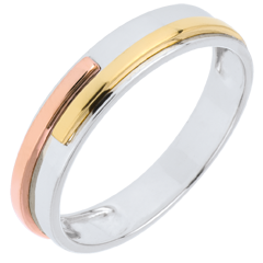 Wedding Ring White Titan - Three golds