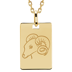 Rechthoek medaillon gegraveerd - Aries - 9K geelgoud - Zodiac Yours Collectie - Edenly Yours