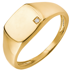 Ring Dämmerschein - Siegelring Äneas - 18 Karat Gelbgold und Diamant