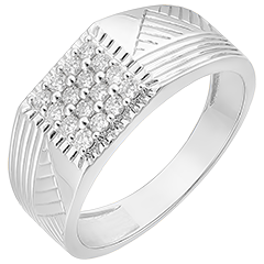 Ring Dämmerschein - Siegelring mit Gravuren - 9 Karat Weißgold und Diamanten