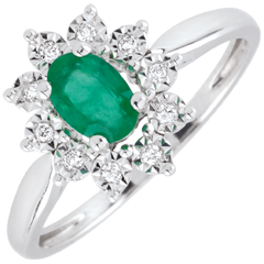 Ring Eeuwige Edelweiss - smaragd en Diamanten - 18 karaat witgoud