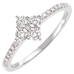 Ring Frisheid - Dina - 9 karaat witgoud en diamanten