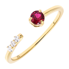 Ring Intervalle – 9-karätiges Gelbgold mit synthetischen Diamanten und synthetischem Rubin