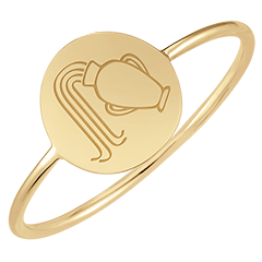 Runder Medaillonring mit Gravur - Aquarius - Gelbgold, 9 Karat - Kollektion Zodiac Yours - Edenly Yours
