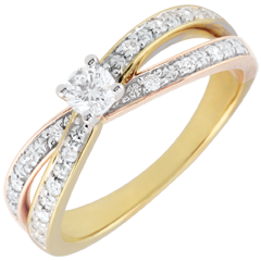 Solitaire Ring Saturnus Duo Dubbele Diamant - Drie goudkleuren - 0,15 karaat - 18 karaat