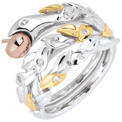 Ring Spaziergang der Sinne - Verbotene Frucht - Dreierlei Gold