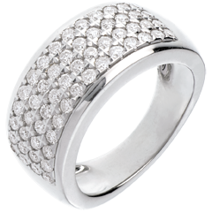 Ring Sterrenbeeld - Astraal - groot model - 18 karaat witgoud - 1,01 karaat - 56 Diamanten