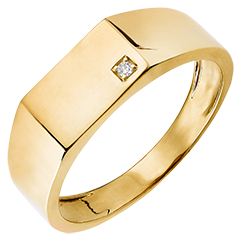 Pierścionek Światłocień - Sygnet Hektor - 18 karatowe żółte złoto i diamenty