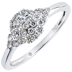 Solitär Ring Frische - Bienenschwarm - 9 Karat Weißgold und Diamanten