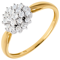 Ring Kaleidoskop in Gelbgold - 0.35 Karat - 19 Diamanten