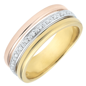 Ring Egeria - drie goudkleuren en diamanten - 18 karaat goud