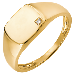 Bague Clair Obscur - Chevalière Énée - or jaune 9 carats et diamant