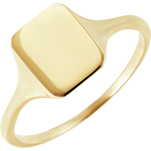 Dark light ring- Hera signet ring - 18 carat yellow gold
