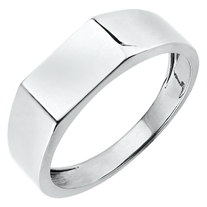 Clair Obscure Ring - Hector Signet Ring - white gold 9 carats