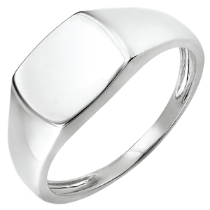Clair Obscure Ring - Aeneas Signet Ring - white gold 9 carats