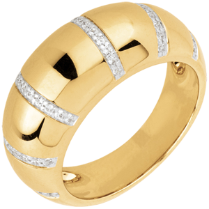 Anello Gaia - Oro giallo - 18 carati - 48 Diamanti - 0.24 carati