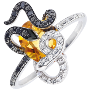 Ring Dagdromen - Gorgonia - zilver, Diamant en edelstenen