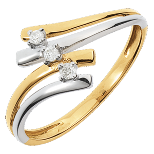 Inel Trilogie Cuib Preţios - Firmamant - diamant 0.05 carate - aur alb şi aur galben de 18K