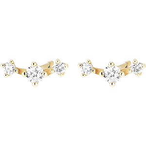 Freshness earrings- Tara - 9 carat yellow gold and diamonds