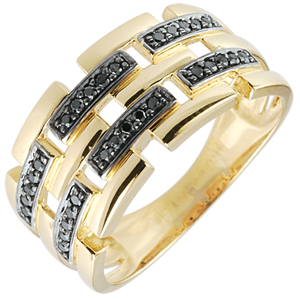 Ring Chiaroscuro  - Geheim Pad - 9 karaat geelgoud groot model