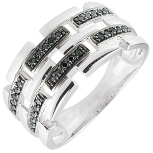 Ring Chiaroscuro  - Geheim Pad - 18 karaat witgoud -18 karaat groot model