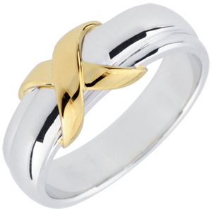 Yellow Gold and White Gold Sign Ring - 18 carats